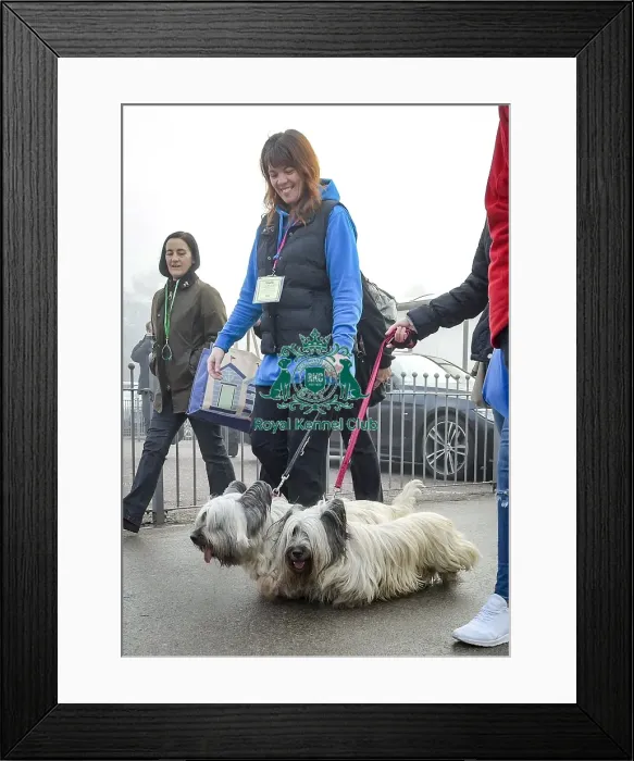 Framed Print : Crufts 2018 Framed Print : Crufts 2018