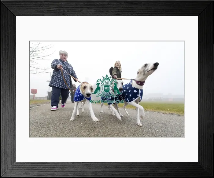 Framed Print : Crufts 2018