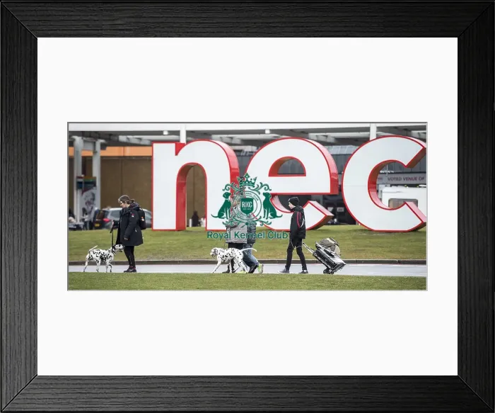 Framed Print : Crufts 2018 Framed Print : Crufts 2018