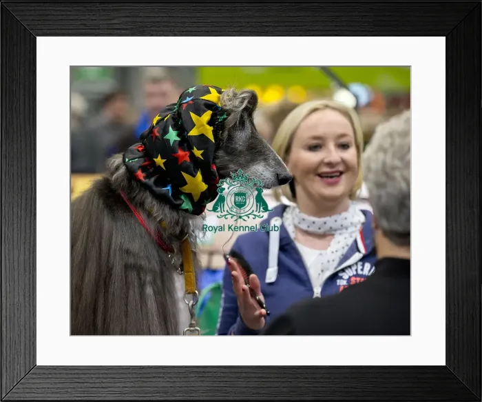 Framed Print : Crufts 2018 Framed Print : Crufts 2018