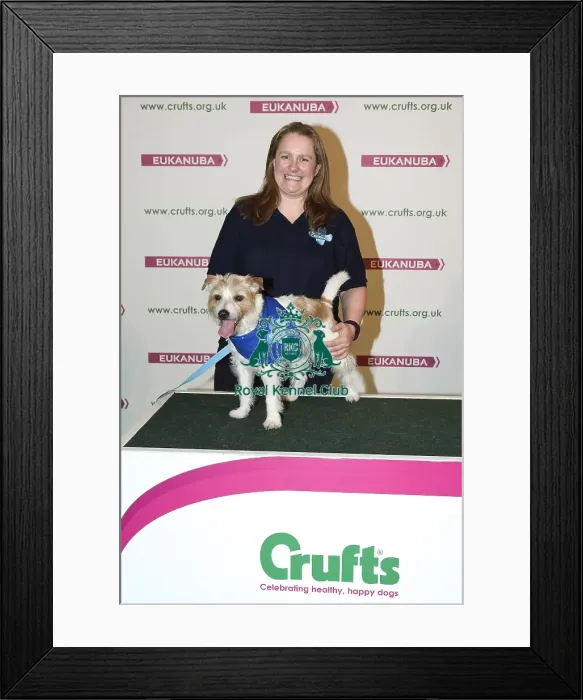 Framed Print : Crufts 2018 Framed Print : Crufts 2018