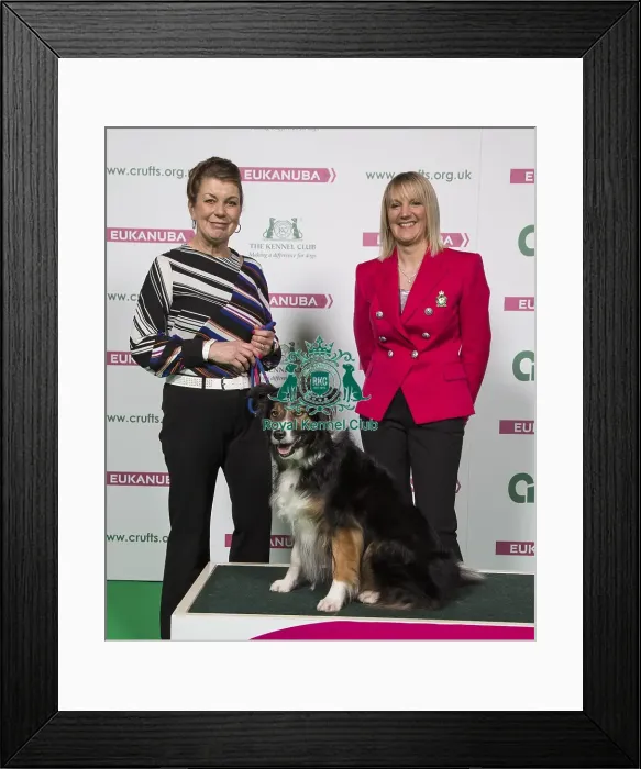 Framed Print : Crufts 2018 Framed Print : Crufts 2018