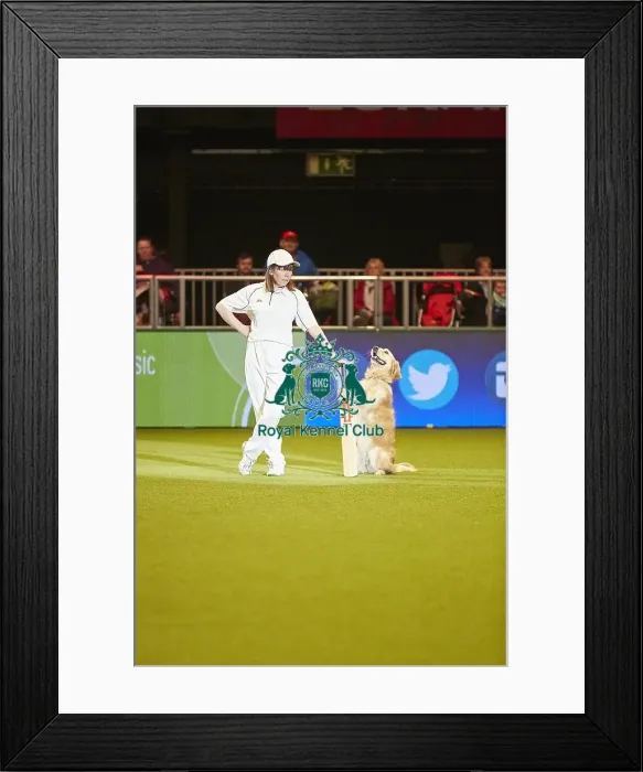 Framed Print : Crufts 2018 Framed Print : Crufts 2018