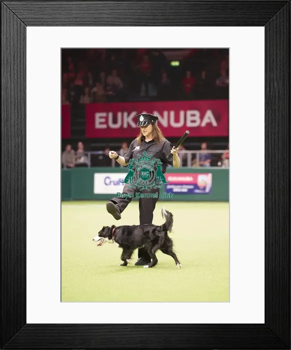 Framed Print : Crufts 2018 Framed Print : Crufts 2018