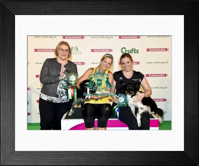 Framed Print : Crufts 2018 Framed Print : Crufts 2018