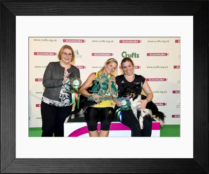 Framed Print : Crufts 2018 Framed Print : Crufts 2018
