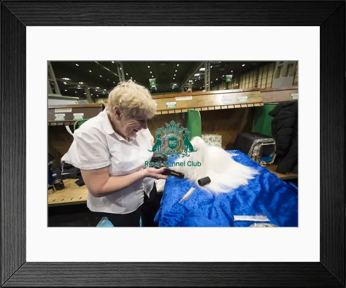 Framed Print : Crufts 2018 Framed Print : Crufts 2018