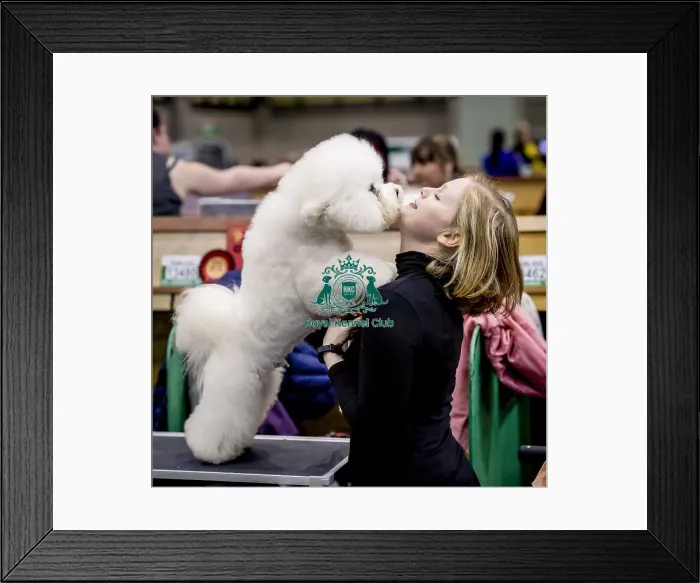 Framed Print : Crufts 2018