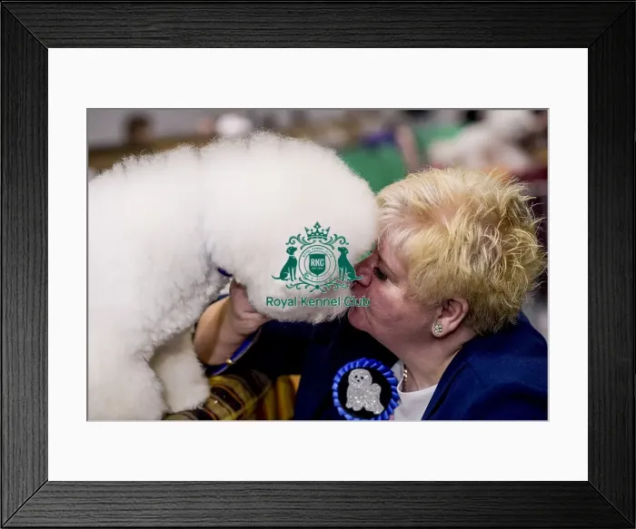 Framed Print : Crufts 2018 Framed Print : Crufts 2018