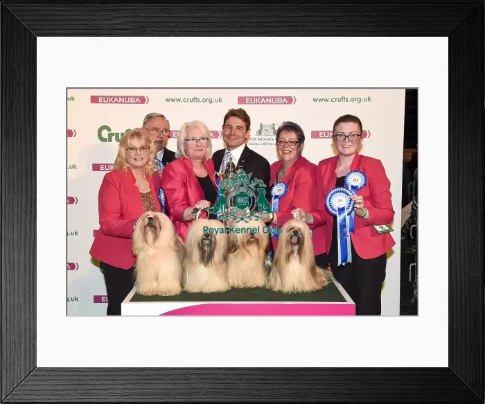 Framed Print : Crufts 2018 Framed Print : Crufts 2018