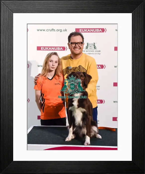 Framed Print : Crufts 2018 Framed Print : Crufts 2018
