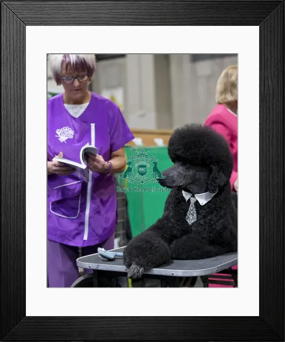 Framed Print : Crufts 2018