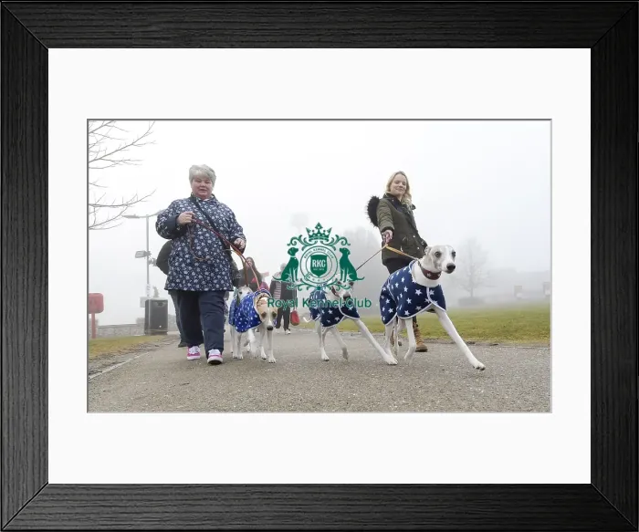 Framed Print : Crufts 2018 Framed Print : Crufts 2018