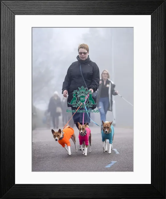 Framed Print : Crufts 2018 Framed Print : Crufts 2018