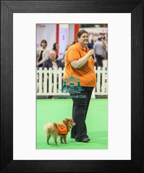 Framed Print : Crufts 2018 Framed Print : Crufts 2018