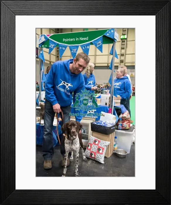 Framed Print : Pointers in Need Framed Print : Pointers in Need