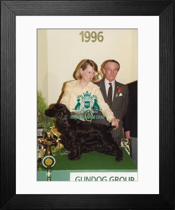 Framed Print : Crufts 1996 Gundog Group Winner Framed Print : Crufts 1996 Gundog Group Winner