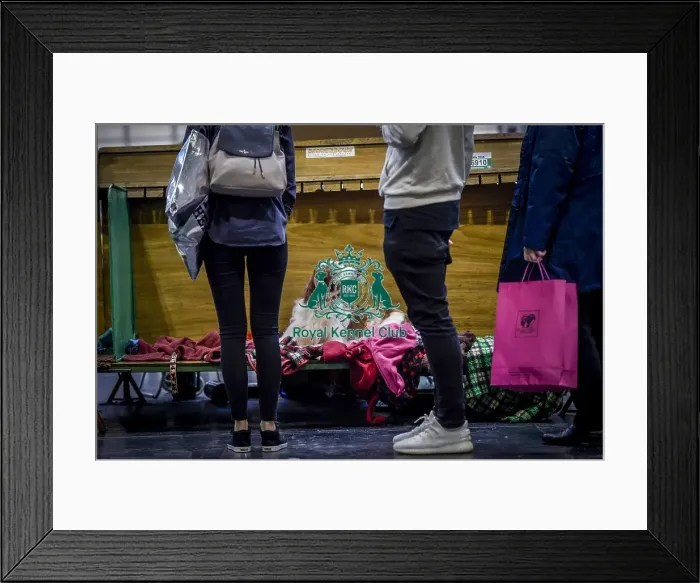 Framed Print : Crufts 2018 Framed Print : Crufts 2018
