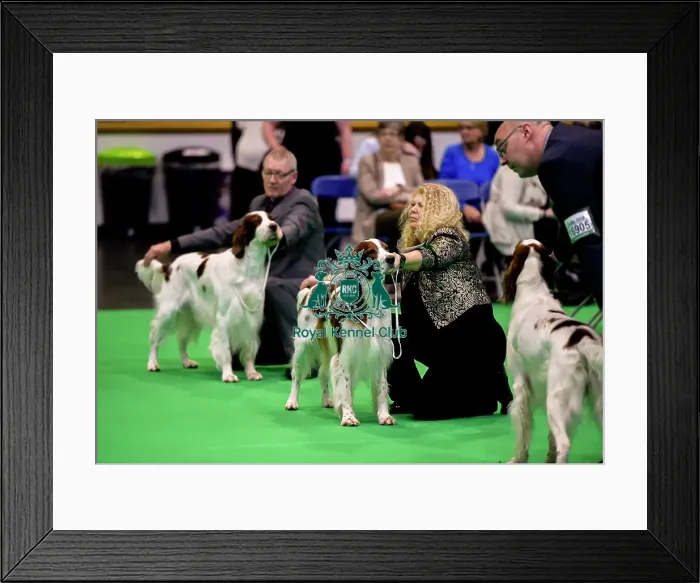 Framed Print : Crufts 2018