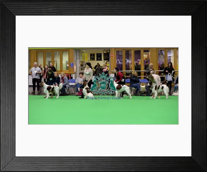 Framed Print : Crufts 2018