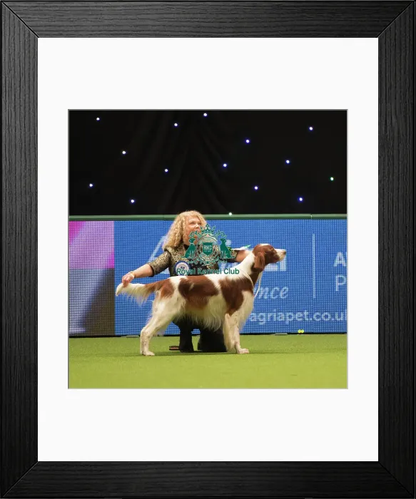 Framed Print : Vulnerable Breeds Framed Print : Vulnerable Breeds