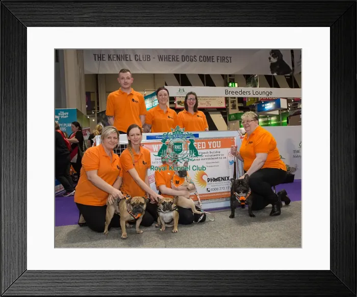 Framed Print : Phoenix French Bull Dog Rescue Framed Print : Phoenix French Bull Dog Rescue