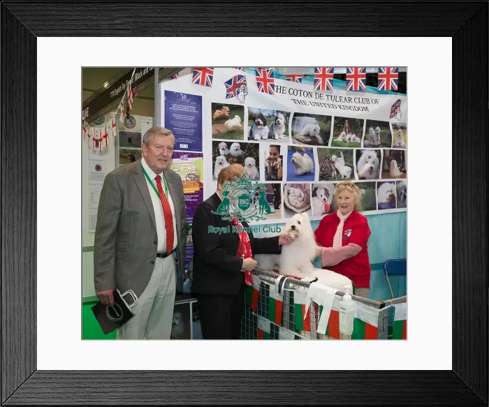 Framed Print : Discover Dogs Best Booth : Toy Dog Group awarded to The Coton De Tulear Club of