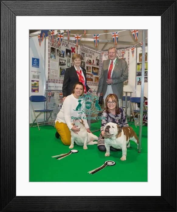 Framed Print : Discover Dogs Best Booth : Utility Group awarded to The Bulldog Breed