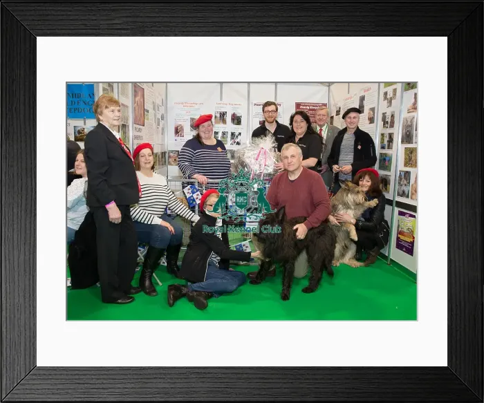 Framed Print : Discover Dogs Best Booth : Pastoral Group awarded to The Picardy Sheepdog Framed Print : Discover Dogs Best Booth : Pastoral Group awarded to The Picardy Sheepdog
