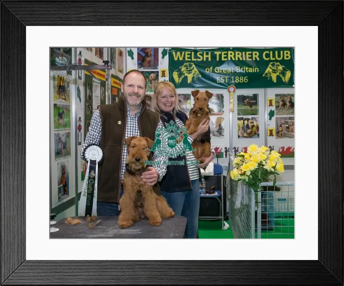 Framed Print : Discover Dogs Best Booth : Terrier Group awarded to Welsh Terrier Club Framed Print : Discover Dogs Best Booth : Terrier Group awarded to Welsh Terrier Club