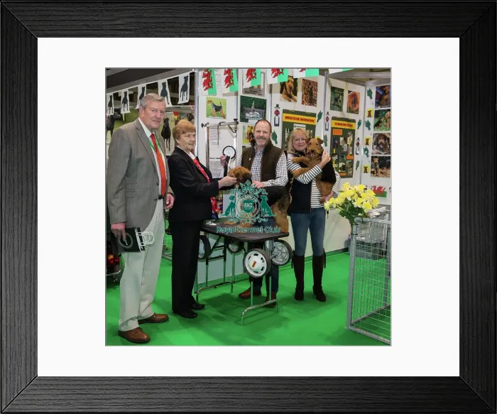 Framed Print : Discover Dogs Best Booth : Terrier Group awarded to Welsh Terrier Club Judges