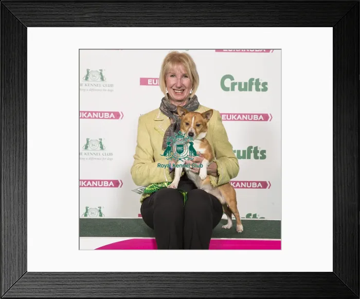 Framed Print : Crufts 2017 Framed Print : Crufts 2017