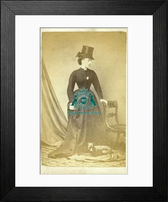 Framed Print : Manchester Terrier with woman wearing riding hat Framed Print : Manchester Terrier with woman wearing riding hat