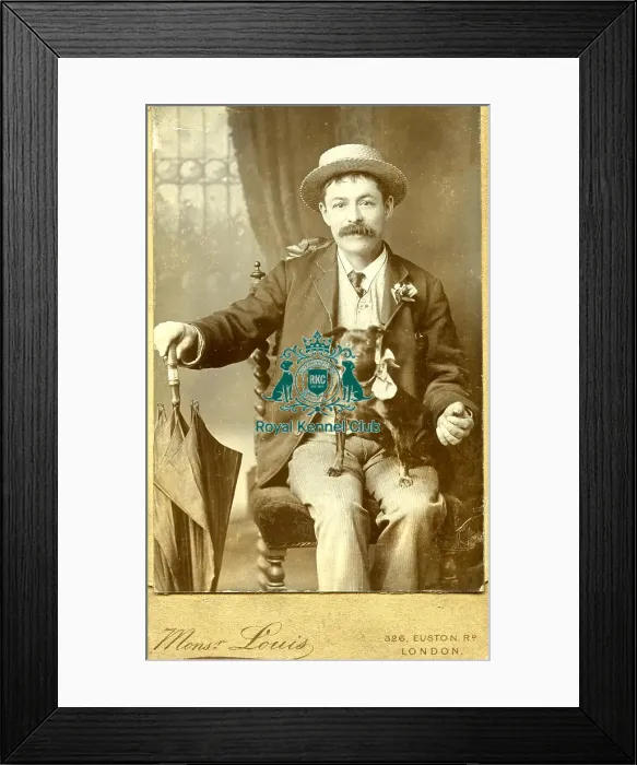 Framed Print : Manchester Terrier Mr H Hughes 1880