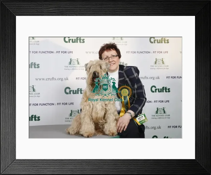 Framed Print : Crufts 2009 Best of Breed Winner Framed Print : Crufts 2009 Best of Breed Winner