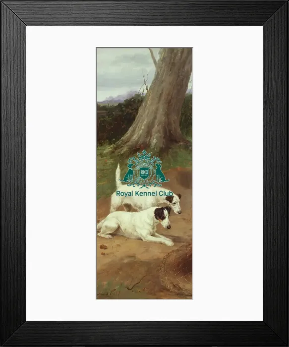 Framed Print : Totteridge Fox Terrier panel Framed Print : Totteridge Fox Terrier panel