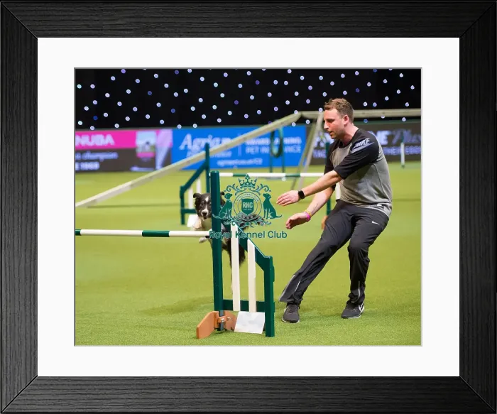 Framed Print : Championship Agility main arena Framed Print : Championship Agility main arena