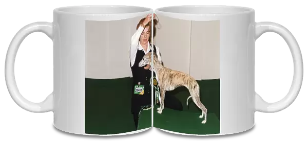 Crufts 1996 Whippet Best of Breed