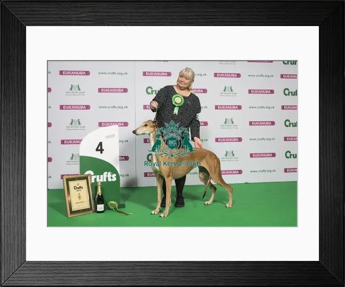 Framed Print : Hound Group Winner 4th Place