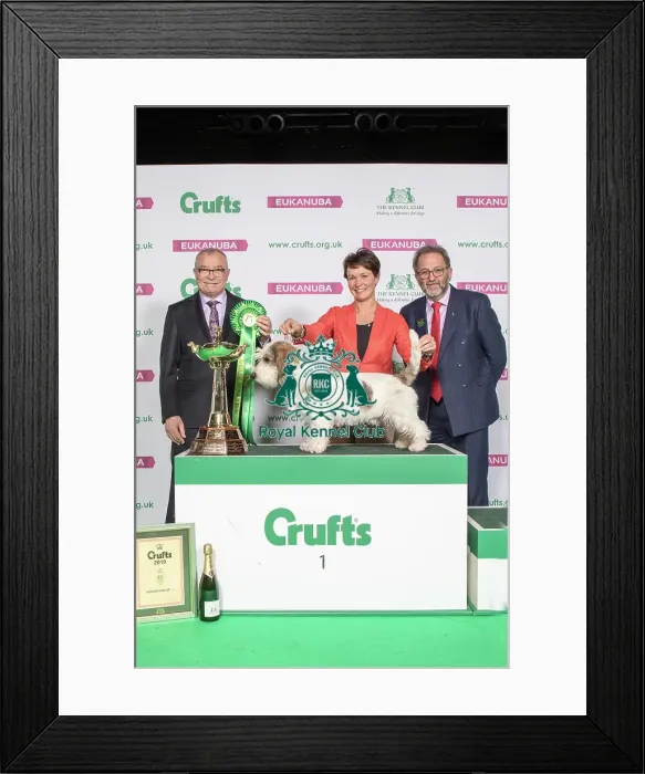 Framed Print : Hound Group Winner Framed Print : Hound Group Winner