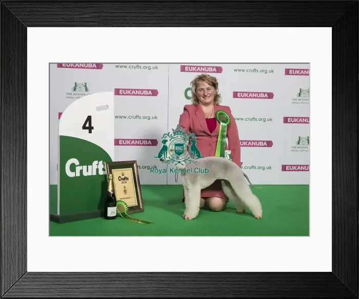 Framed Print : Terrier Group Winner 4th place
