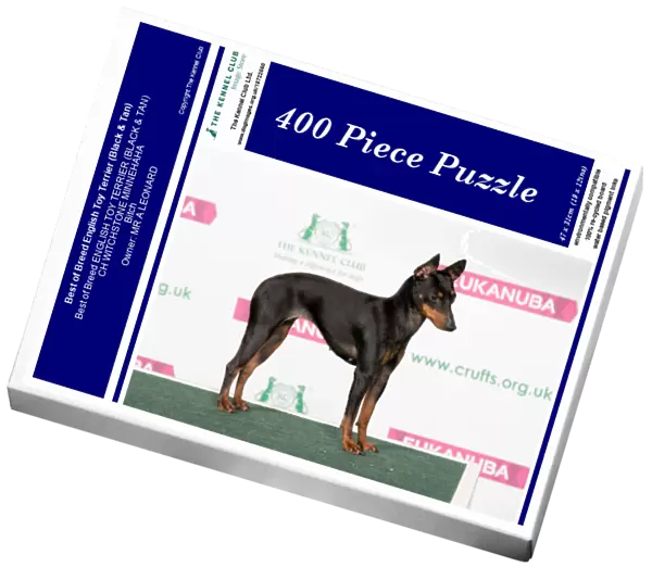 Best of Breed English Toy Terrier (Black & Tan)