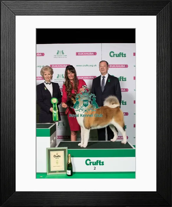 Framed Print : Utility Group Winner Reserve Framed Print : Utility Group Winner Reserve