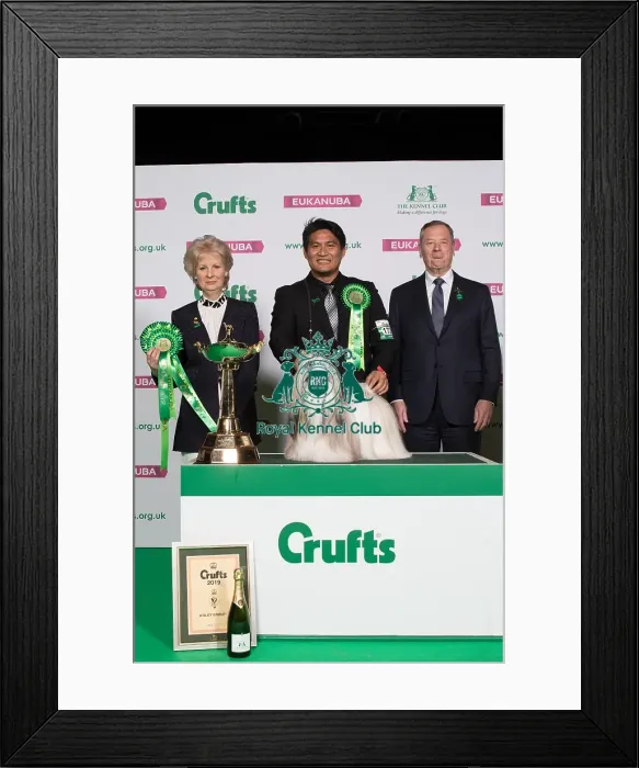 Framed Print : Utility Group Winner Framed Print : Utility Group Winner