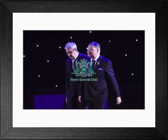 Framed Print : Crufts 2019 - Best in Show Framed Print : Crufts 2019 - Best in Show