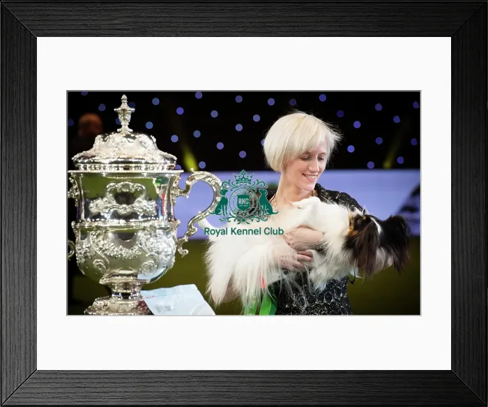 Framed Print : Crufts 2019 - Best in Show Framed Print : Crufts 2019 - Best in Show