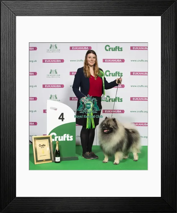 Framed Print : Crufts 2019 - Best of Breed / Utility Framed Print : Crufts 2019 - Best of Breed / Utility