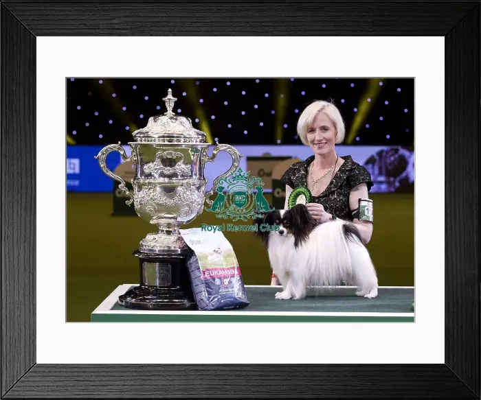 Framed Print : Crufts 2019 - Best in Show Framed Print : Crufts 2019 - Best in Show