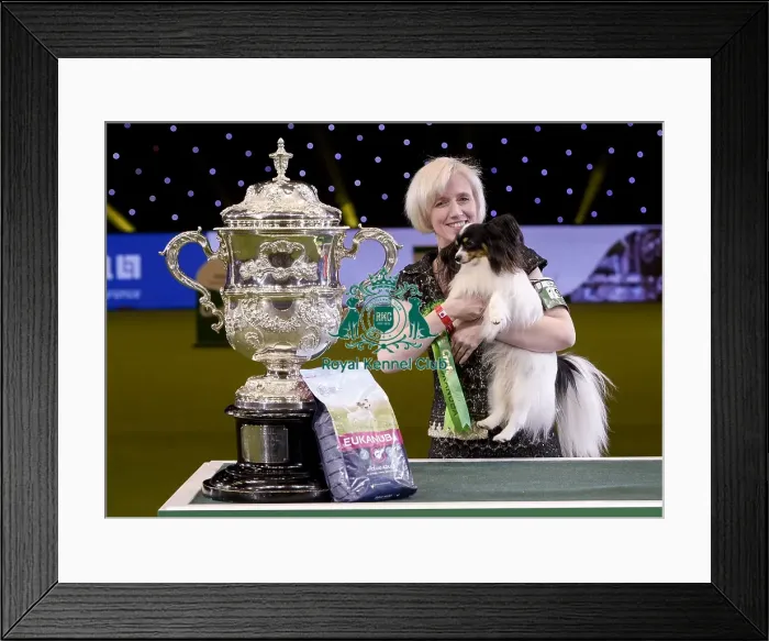 Framed Print : Crufts 2019 - Best in Show Framed Print : Crufts 2019 - Best in Show