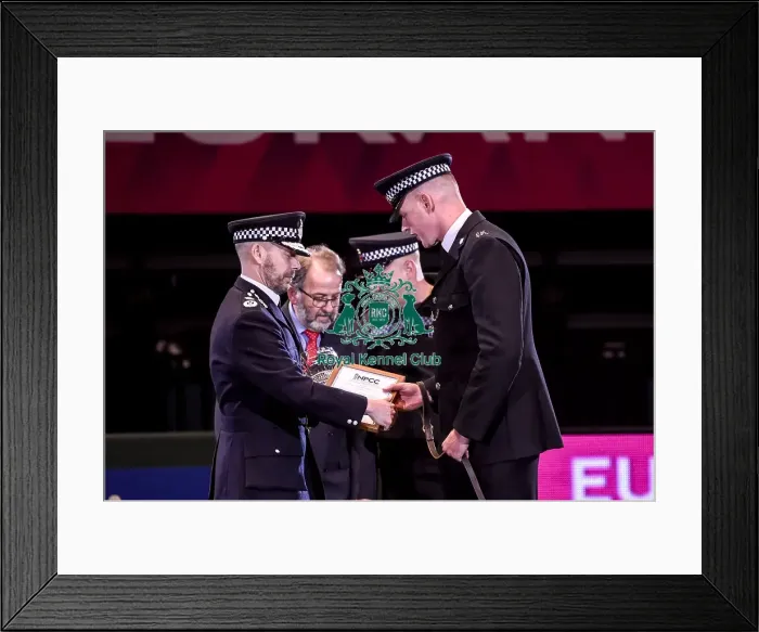 Framed Print : Crufts 2019 - Day Four, NEC, UK - 10 Mar 2019 Framed Print : Crufts 2019 - Day Four, NEC, UK - 10 Mar 2019